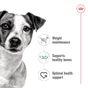 Royal Canin Adult Dog Small Breed in Gravy 48x85g