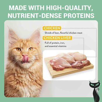 Schesir After Dark Complete Wet Cat Food Chicken in Mousse 80g
