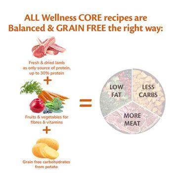 Wellness CORE Dry Large Breed Puppy Food Original Chicken Recipe 10kg