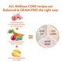 Wellness CORE Dry Large Breed Puppy Food Original Chicken Recipe 10kg