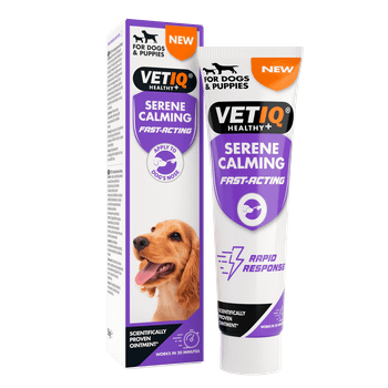 VETIQ Serene Dog Calming Rapid Relief Ointment 50g