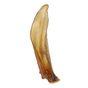 Jollyes Natural Dried Buffalo's Ear, Dog Treat 1 Pack