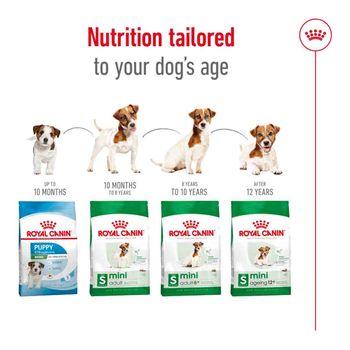 Royal Canin Dry Dog Food Mini Adult 4kg Jollyes