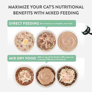 Schesir After Dark Complete Wet Cat Food Chicken in Mousse 80g