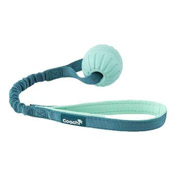 Coachi Puppy & Mini Tuggi Ball Dog Toy Teal & Mint