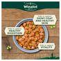 Winalot Meaty Chunks Mixed in Jelly Wet Dog Food 40x100g
