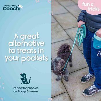 Coachi Puppy & Mini Treat Pouch Teal & Mint
