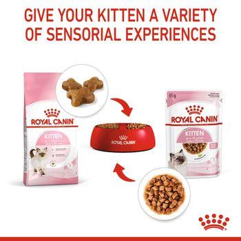 Royal Canin Kitten Pouch Multipack in Gravy 48x85g