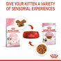 Royal Canin Kitten Pouch Multipack in Gravy 48x85g