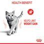 Royal Canin Lightweight Care Wet Cat Food in Gravy 48x85g
