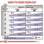 Royal Canin Neutered Satiety Balance Adult Dry Cat Food 8kg