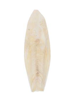 Countrywide Cuttlefish Bird Food, 6-8 Pack