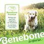 Benebone Fishbone Dog Toy Medium 