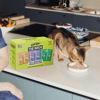 KatKin THE BIRDS Fresh Cat and Kitten Food, Variety Pack (Chicken, Turkey & Duck) 12x80g