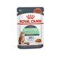 Royal Canin Digestive Care Wet Cat Food in Gravy 48x85g