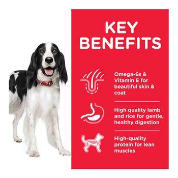 Hill's Science Plan Adult Medium Dry Dog Food Chicken Flavour 14kg