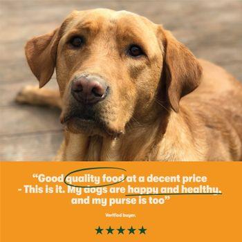 Harringtons Dry Dog Food, Turkey, 4Kg