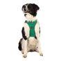 Doodlebone Trendy Tails Stomp Dog Harness Green 1-2