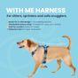 Doodlebone 'With Me' Dog Harness Blue 1-2