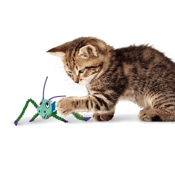 Kong Crackles Grasshopper Cat Toy