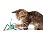 Kong Crackles Grasshopper Cat Toy