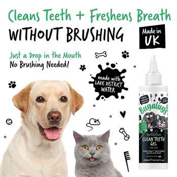 Bugalugs Dog & Cat Toothpaste Gel – Fresh Mint Plaque Remover, Use With Dog/Cat Toothbrush