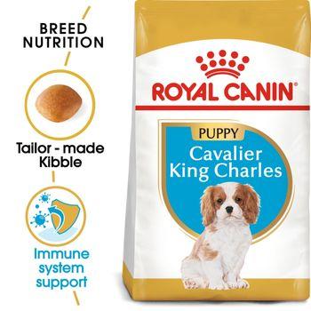 Royal Canin Cavalier King Charles Dry Dog Food 1.5kg