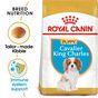 Royal Canin Cavalier King Charles Dry Dog Food 1.5kg