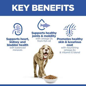 Hill's Science Plan Senior Small & Mini Dry Dog Food Chicken Flavour 1.5kg