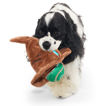 Bark Sorting Hat Harry Potter Plush Dog Toy