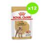 Royal Canin Wet Dog Food Wet Poodle 12x85g