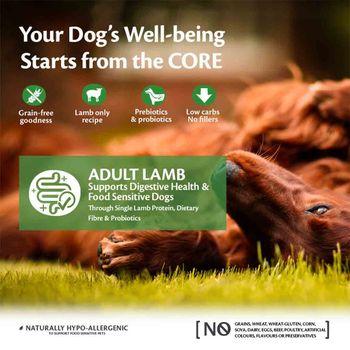Wellness CORE Dry Large Breed Puppy Food Original Chicken Recipe 10kg