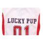 Rufus & Rosie Dog Football Jersey Large
