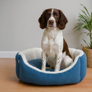 Dream Paws Blue Scalloped Dog Bed Large