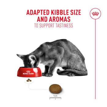 Royal Canin Fussy Dry Cat Food 400g