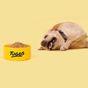 Tuggs Chicken Coup Complete Fresh Frozen Dog Food 300g