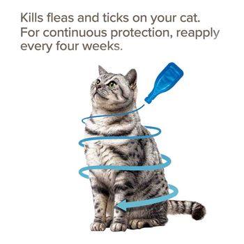 FIPROtec Spot On for Cats 4 Pipettes Cat Flea Treatment