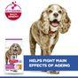 Hill's Science Plan Senior Small & Mini Dry Dog Food Chicken Flavour 1.5kg