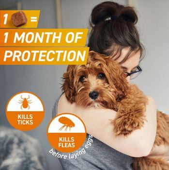 FRONTPRO® Chewable Tablets Flea & Tick Treatment for Medium Dogs 4-10kg, 3 Pack