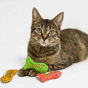 Yeowww! Tin of Stinkies Catnip Cat Toy