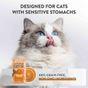 Schesir Functions Digestive Topper Adult Cat Pumpkin & Wheatgrass 40g
