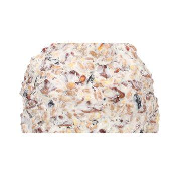 The Wild Bird Care Company Giant Suet Bird Food Cone