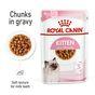 Royal Canin Kitten Pouch Multipack in Gravy 48x85g