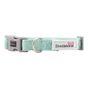 Doodlebone Dinky Dog Collar Mint 1-2