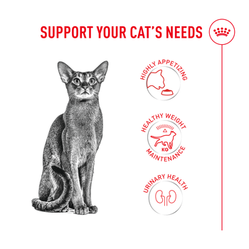 Royal Canin Fussy Dry Cat Food 400g