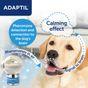 ADAPTIL Calm Home Diffuser 3X Refill Value Pack (48ml)