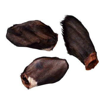Naw XL Cow Ear with Hair