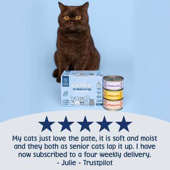 Scrumbles Grain Free Wet Cat Pate Classic Selection 6x80g