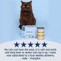 Scrumbles Grain Free Wet Cat Pate Classic Selection 6x80g