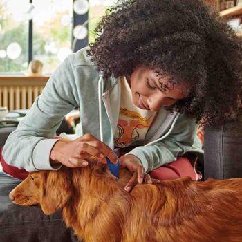 Beaphar FIPROtec Spot-On Flea & Tick Treatment for Small Dogs 2-10kg, 4 Pipettes